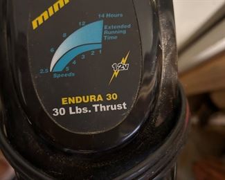 Working Trolling motor 