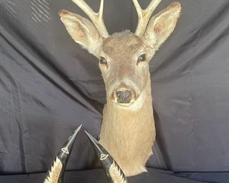 Mounted Deer Brown Wall Decoration