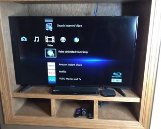 Samsung TV, Sony Blu-Ray and Roku Premiere