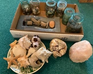 Collection Of Rocks Sea Shells