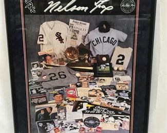 Large 42 x 31.5 Glass Covered Framed Tribute Poster of Nellie Fox