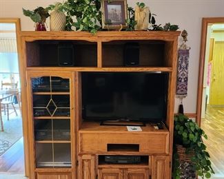 Entertainment Center, holds a flat-screen TV and electronics 