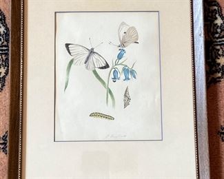 BUY IT NOW$50 Original Drawing- 19th century English 'Friendship' book; 7.5" x 6"