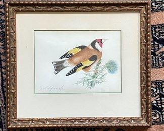 BUY IT NOW$50 Original Drawing- 19th century English 'Friendship' book; gold finch 4.75" x 6.5"