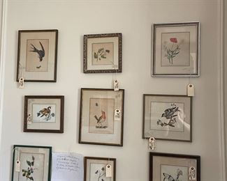 Original colored drawings from the 19th century English 'Friendship' books of birds, butterflies, and floral of places in England. 