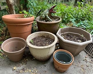 Frog Watering Can & Planter Pots: Ceramic, Terracotta & Plastic
Lot #: 114