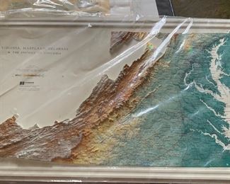 relief map