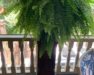 pair of fern stands