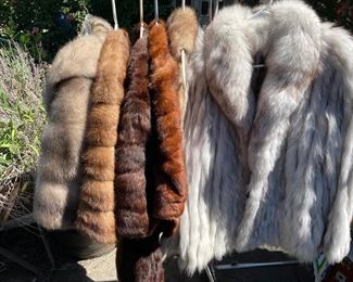 Mink and Fox Stoles and Jackets, 