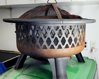 Fire pit...useful in every Michigan season 