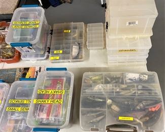 FISHING ANYONE, WE HAVE THE BAIT AND MORE.