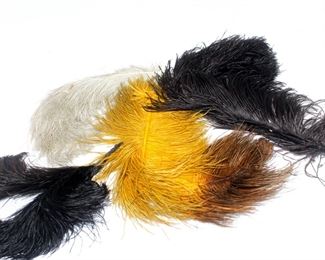 Large Group of Antique Millinery Plumes, Ostrich Feather Plumes, Hand Dyed