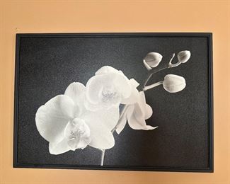 Large Selection of  Art