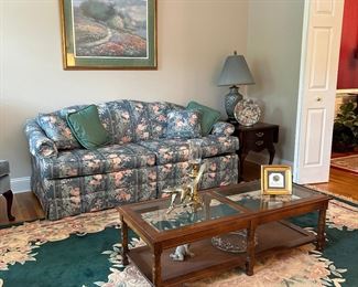 sleeper sofa and living room accessories