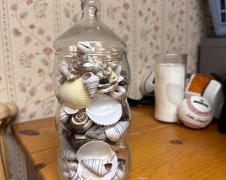 Glass canister of shells 7"H