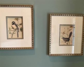 Bird, prints, art 
