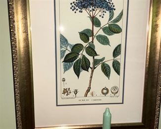 Botanical, prints 
