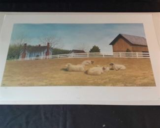 Lazy Day by John Furches