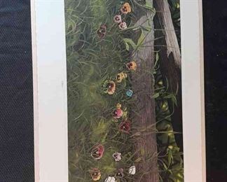 Velvet Faces by Bob Timberlake