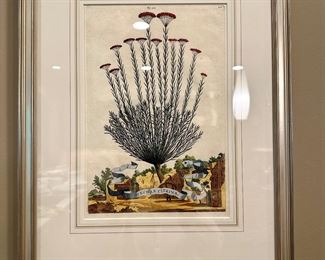 Framed Botanical