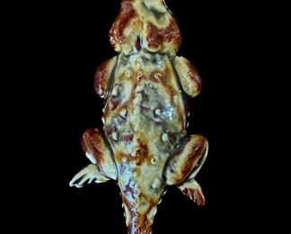 64 2 Background Removed