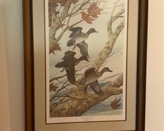 Mallard duck nature print