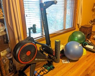 Echelon rowing machine and other fitness
