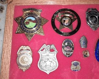 Police Badges