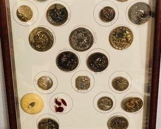 Large Selection of Collectable Antique Buttons. Sorted, Matted and Framed.