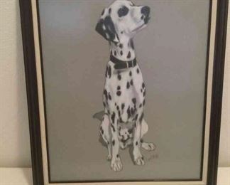Dalmation
