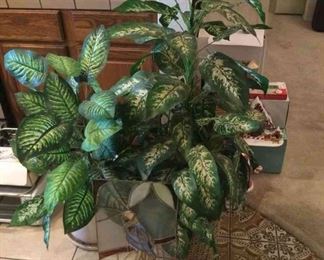 House Plants And Stain Glass