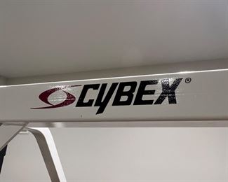 79. Cybex Weight Machine 