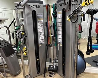 80. Cybex Bravo Exercise 