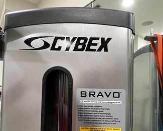 80. Cybex Bravo Exercise 
