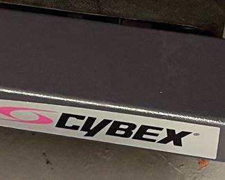 137. Cybex 400T Treadmill