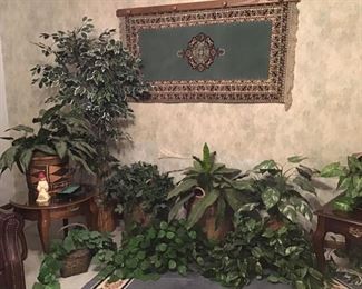 Artificial plants, area rug, hanging rug
