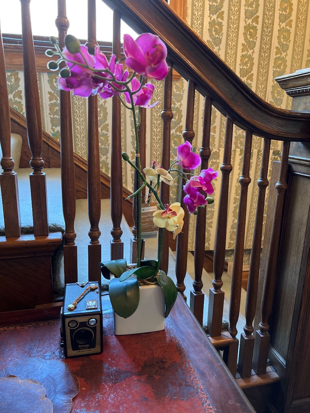 Orchid & Brownie Camera