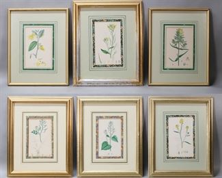        104	6 Botanical Lithographs	6 botanical lithographs, circa late 1800s. Wild radish, black mustard, garlic hedge mustard, watercress, each 7 5/8" x 4 3/4" (with frames 16" x 13 1/4"); Yellow balsam, greater yellow rattle, each 7 1/2" x 5" (with frames 14 3/4" x 11 3/4"). Losses to gilt decoration on frames.
