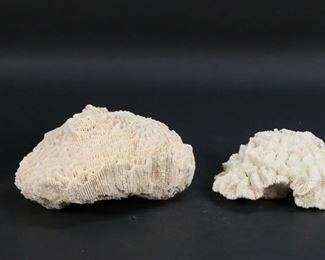        394	Lot of Coral Specimens & Abalone Shell	3 coral specimens, including red organ pipe; abalone shell. Red coral 9 1/2"L. All with some chips and losses.
