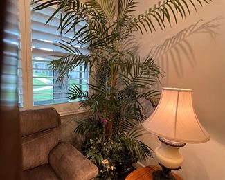 Closer look at palm tree. End table and lamp