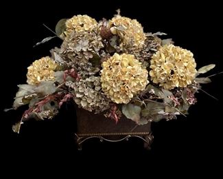 46 Background Removed