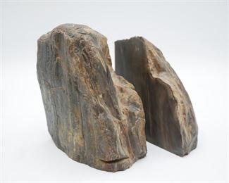 Petrified Wood Bookends 