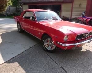 1966 VINTAGE MUSTANG IN EXCELLENT CONDITION AND IN PHASE 2 STARTS ON JUNE 22, 2023.