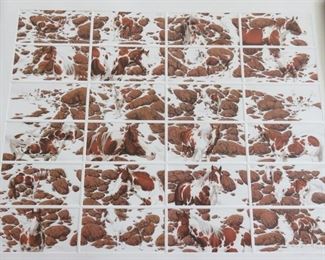 Signed & Numbered Bev Doolittle "Hide And Seek"