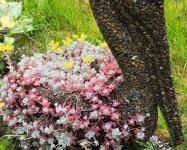 thumbnail 646badef6402a