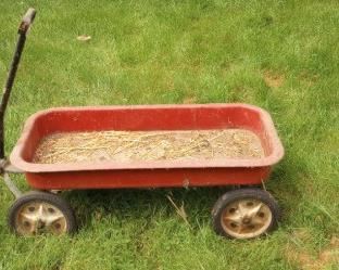 thumbnail 646d3633d767b