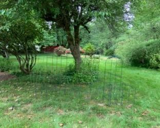 thumbnail 646beac3815cc