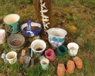 thumbnail 646d36c91ed3a