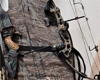 Two of the compound bows