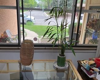 MCM lamp, fair condition 
Bamboo plant